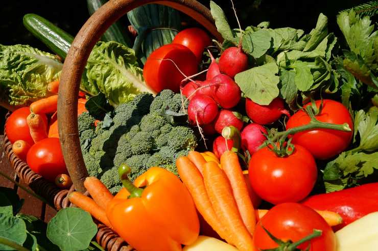 cesto pieno di verdure