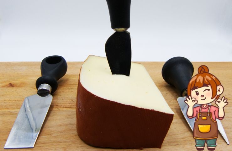 fontina