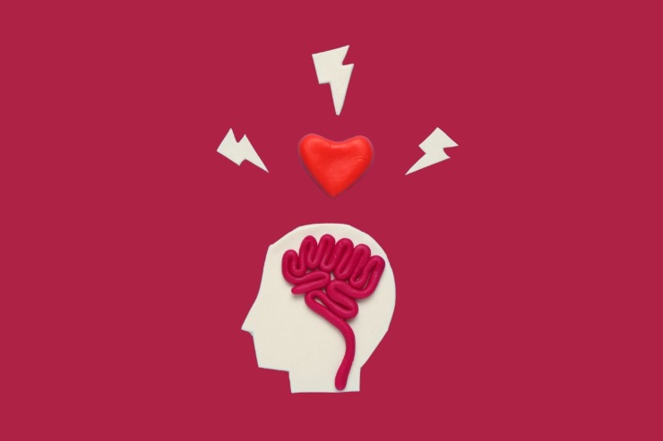 Cervello e cuore